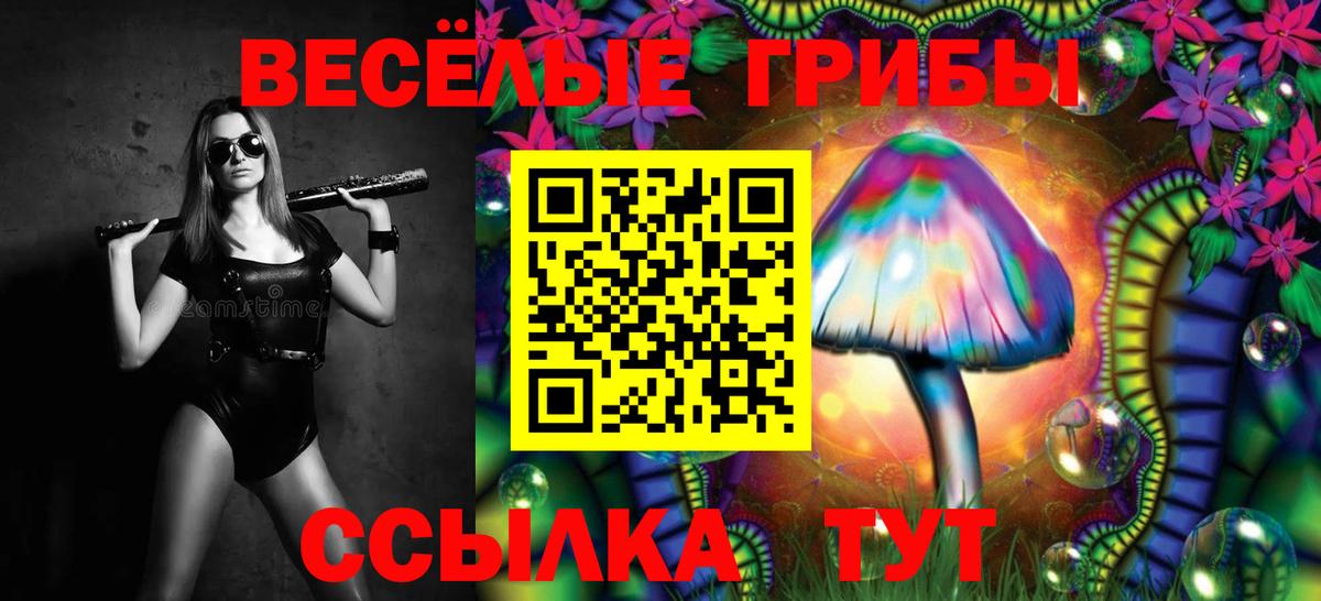 Галлюциногенные грибы мухоморы Бирск